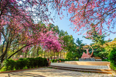 ���ϴ�W(xu��)3Dȫ��չʾ