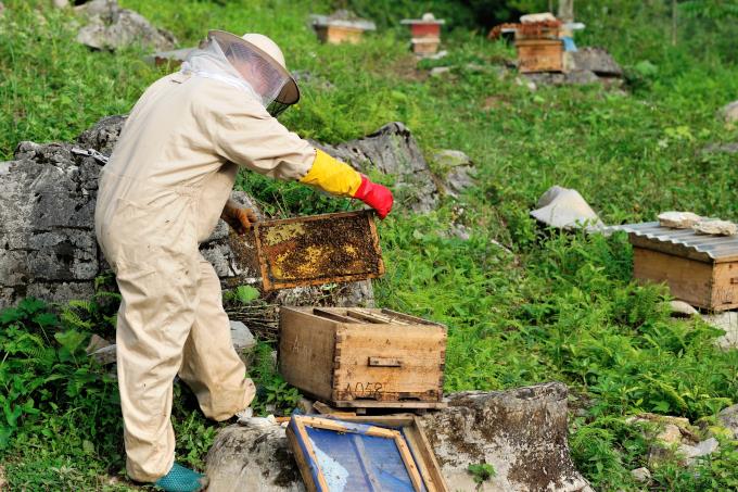 重慶太一生物利用智慧農(nóng)業(yè)技術(shù)全程溯源