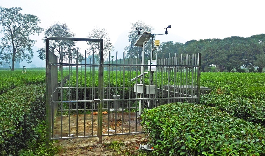 廣西桂林茶葉研究所借助智慧農(nóng)業(yè)技術(shù)開展精細(xì)化種植