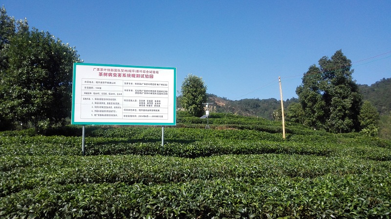 千年茶葉之鄉(xiāng)利用智慧農(nóng)業(yè)進行精細(xì)種植管理