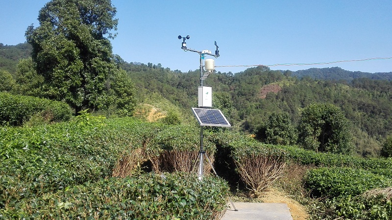 千年茶葉之鄉(xiāng)利用智慧農(nóng)業(yè)進行精細(xì)種植管理