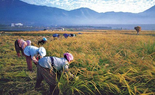 ���װ�ȫ�¼��l�����������ҵ�ˮ���s��ȫ����Դ����Դ�^�ѿ�Ʒ�|(zh��)