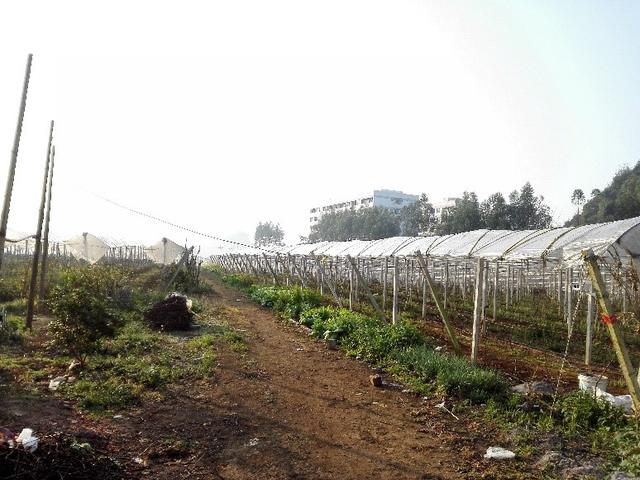 �ďU���ķ�֮�������ш@����Ҳ�ܞ���I(y��)���^����(y��ng)��(y��u)�|(zh��)��ꖹ�õ��