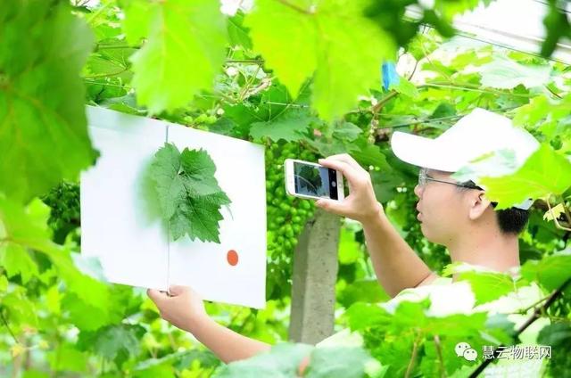 ���C(j��)���������Y���r(n��ng)���T�����ѹܼҞ��九(ji��)�s����(w��)�M(f��i)��15�f