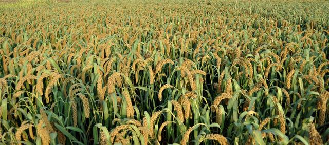 ��ע�ڿ��е��A�����Ƽ���Ҳ���������ܱO(ji��n)�؎����ľ���(zh��n)�c��Ч