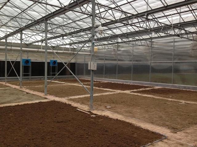 ��ע�ڿ��е��A�����Ƽ���Ҳ���������ܱO(ji��n)�؎����ľ���(zh��n)�c��Ч