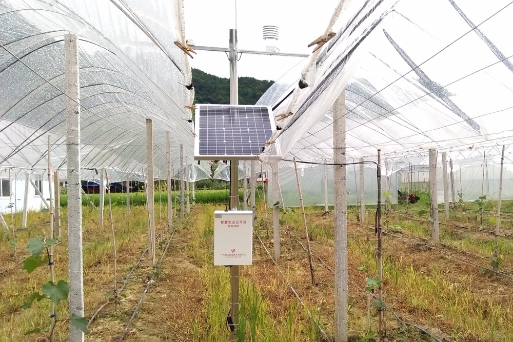 �V���|�m�hɽ�^(q��)�_���������ܻ��a(ch��n)�I(y��)��ؚ���a(ch��n)ʾ��