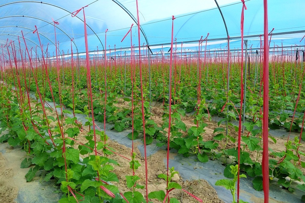 �ǻ��r(n��ng)�I(y��)���ֺ������ǹ��Ƽ���ͨ�a(ch��n)�c�N