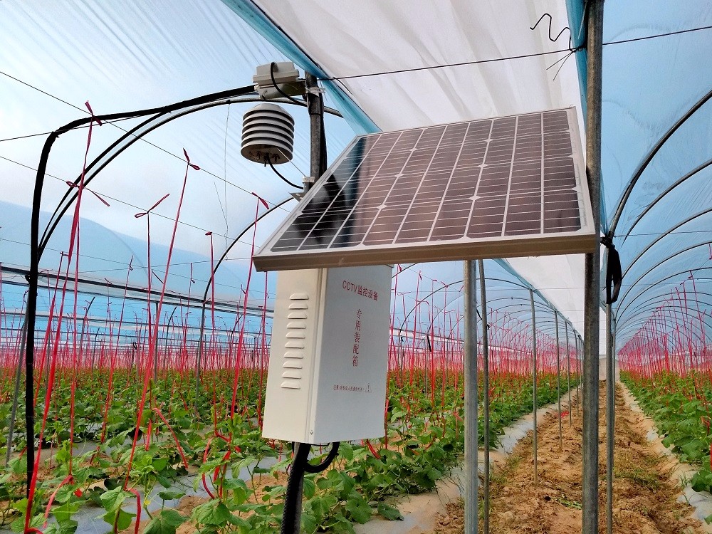 �ǻ��r(n��ng)�I(y��)���ֺ������ǹ��Ƽ���ͨ�a(ch��n)�c�N