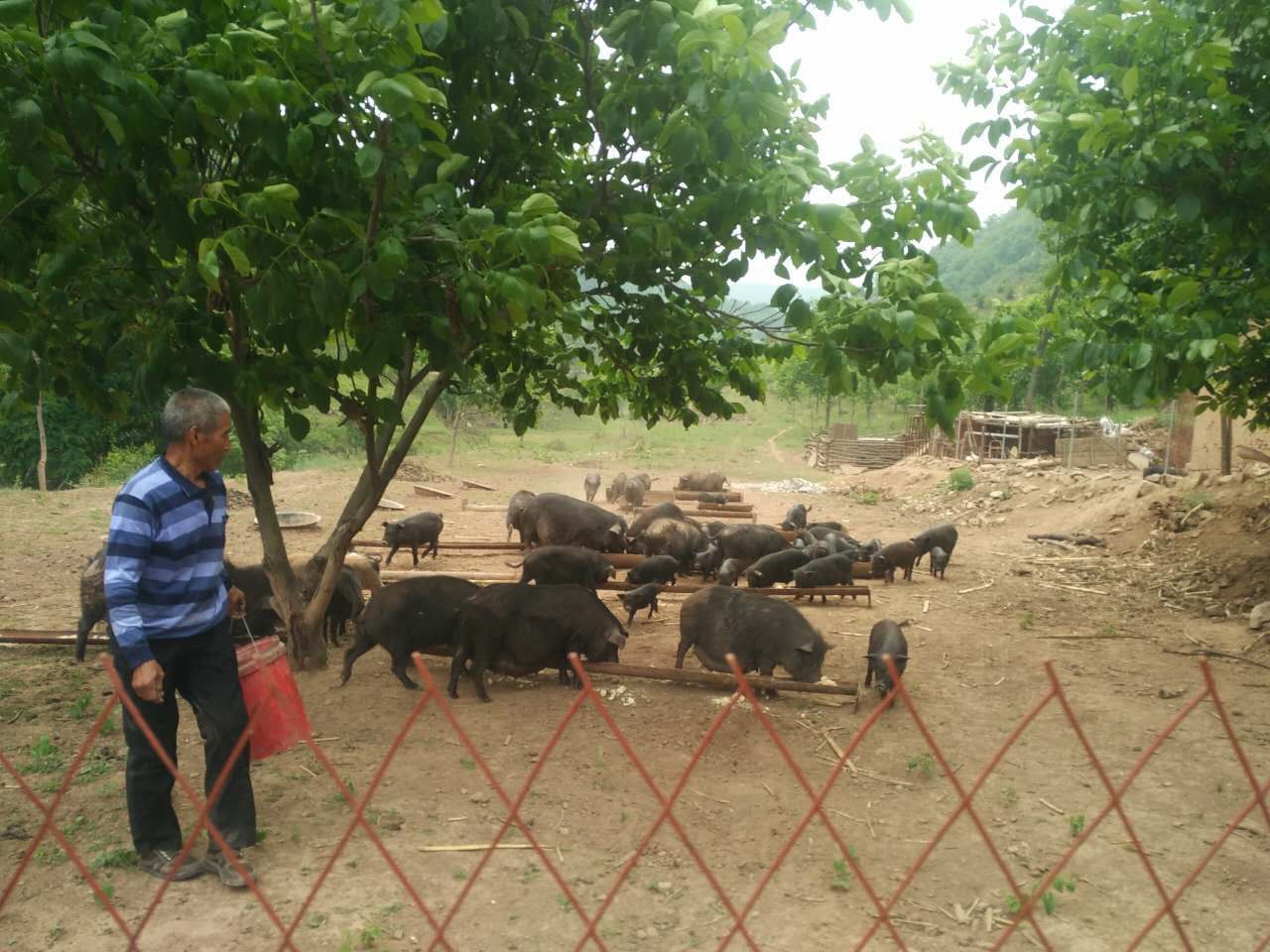 �ǻ��r(n��ng)�I(y��)����������������(sh��)�F(xi��n)����(zh��n)Óؚ