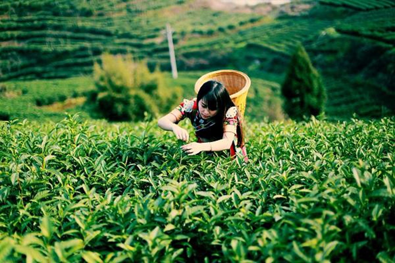 �ǻ��r(n��ng)�I(y��)����������������(sh��)�F(xi��n)����(zh��n)Óؚ