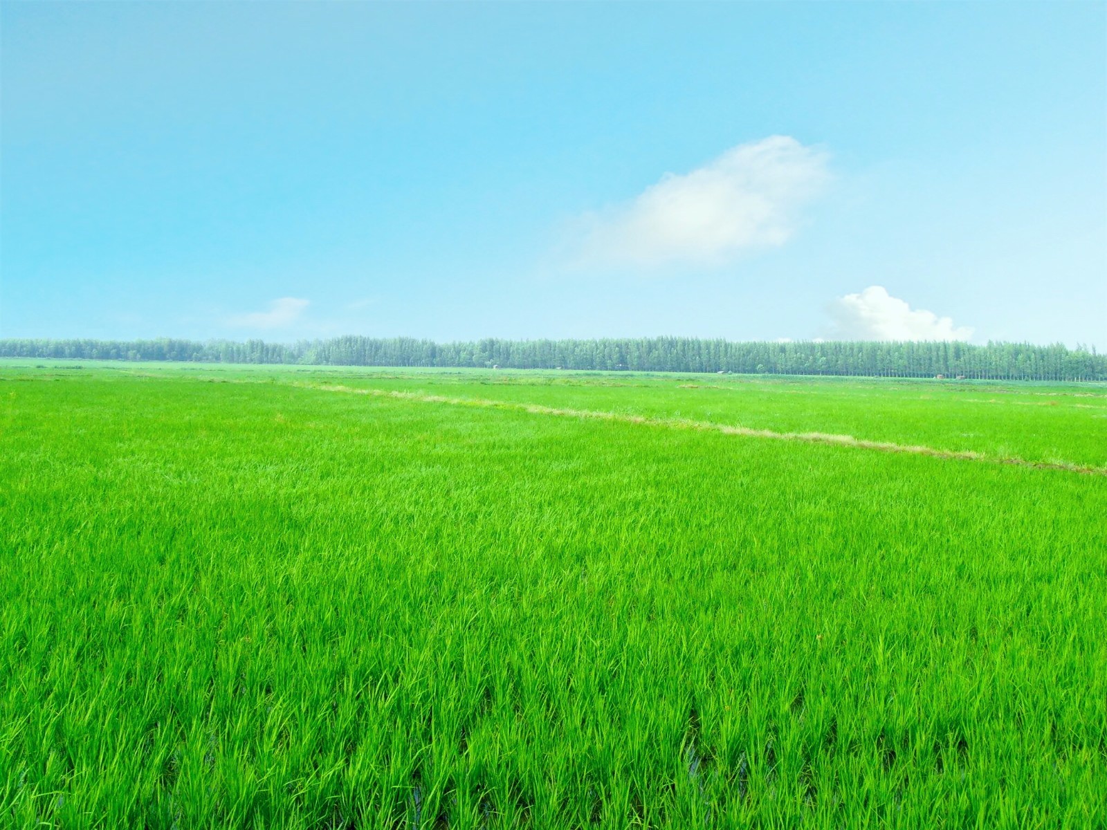 �Gˮ��ɽ���ǽ�ɽ�yɽ�����ǻ��r(n��ng)�I(y��)�������r(n��ng)�I(y��)��(li��n)�W(w��ng)���������B(t��i)�r(n��ng)�I(y��)�����o�W(w��ng)