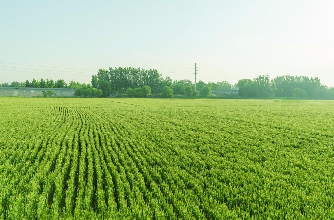 ���vʷ�ӛ�Ŀ��y���S���^(q��)����������ǻ��r(n��ng)�I(y��)�Ŀ�܇���ɞ�һ������