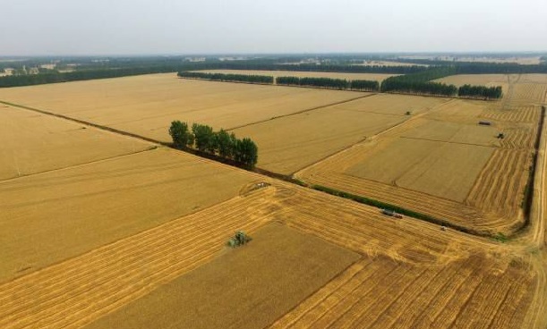 ���vʷ�ӛ�Ŀ��y���S���^(q��)����������ǻ��r(n��ng)�I(y��)�Ŀ�܇���ɞ�һ������