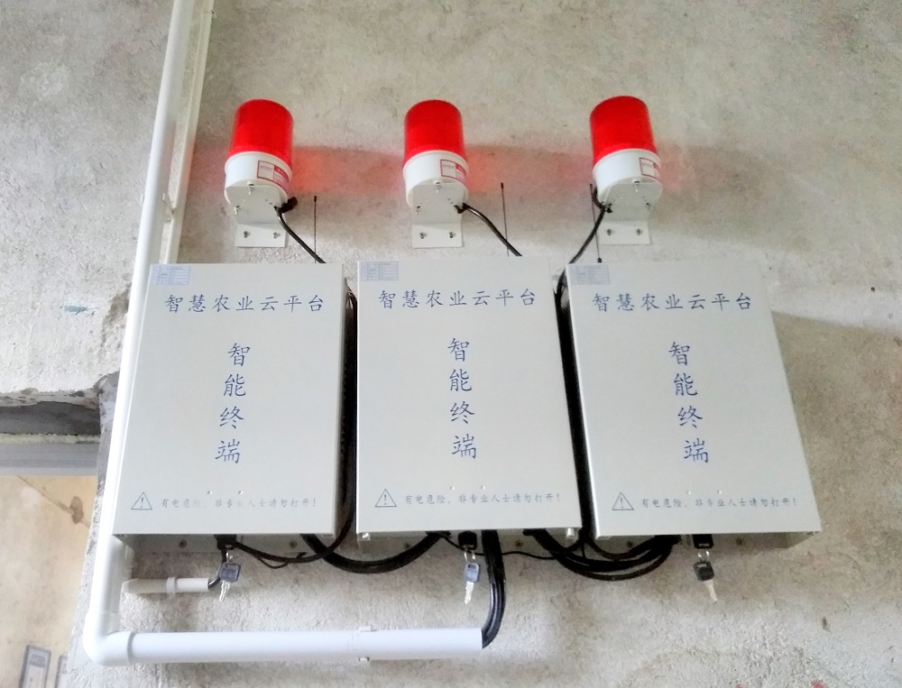 ���vʷ�ӛ�Ŀ��y���S���^(q��)����������ǻ��r(n��ng)�I(y��)�Ŀ�܇���ɞ�һ������