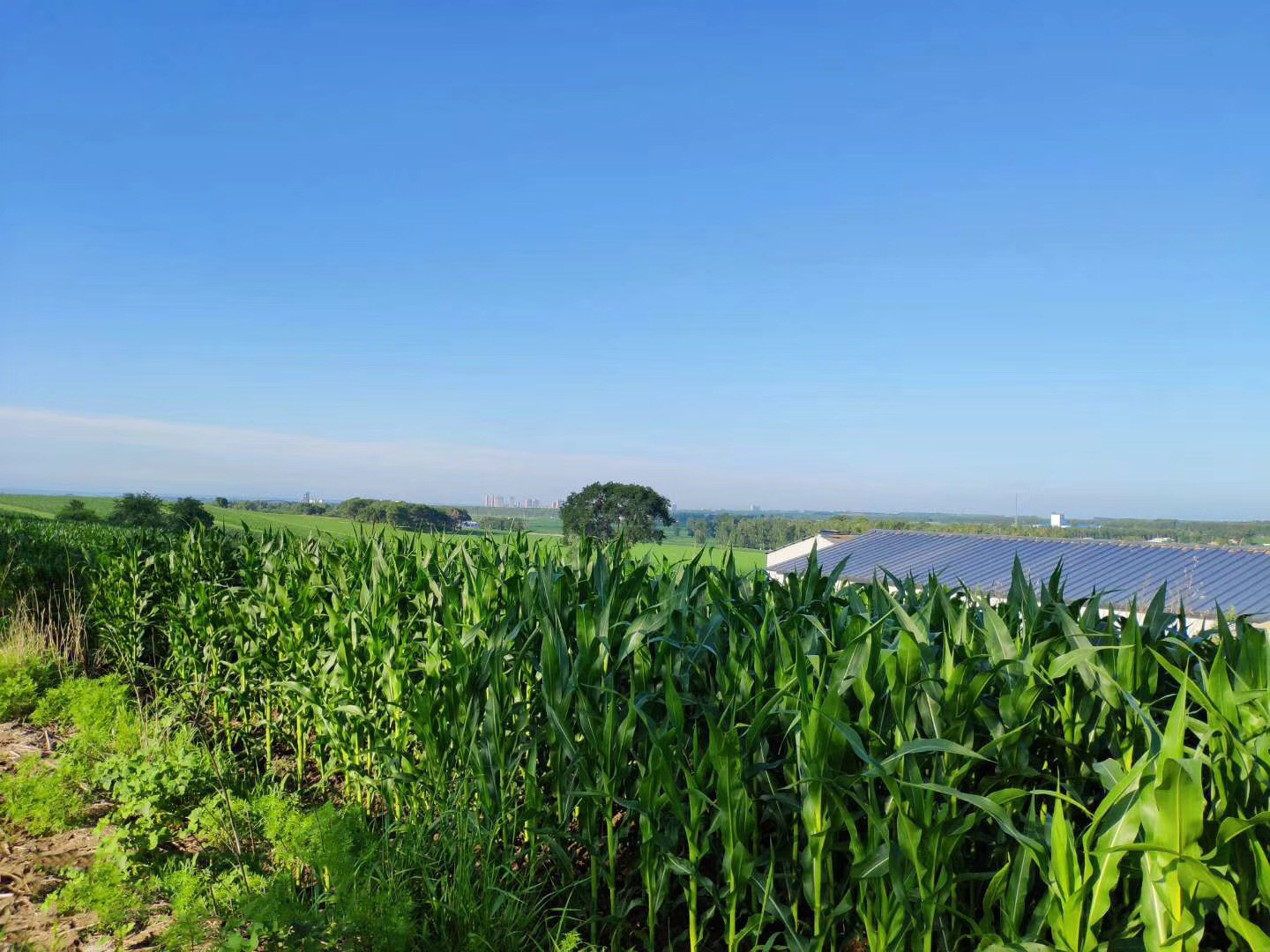 ������ˮ�ƿƼ������ǻ��r(n��ng)�I(y��)���g(sh��)���M(j��n)�����a(ch��n)ʾ��