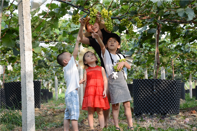 �읙�������ѹܼҷ�ؚʾ�����ء����|�m�hɽ�^(q��)ꖹ�õ�����ш@��һ���������ժ��