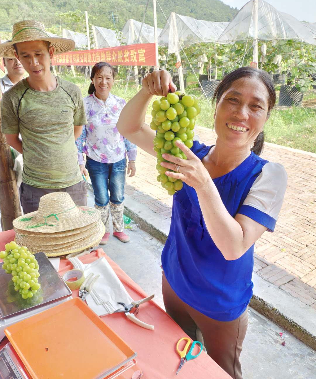 �읙�������ѹܼҷ�ؚʾ�����ء����|�m�hɽ�^(q��)ꖹ�õ�����ш@��һ���������ժ��