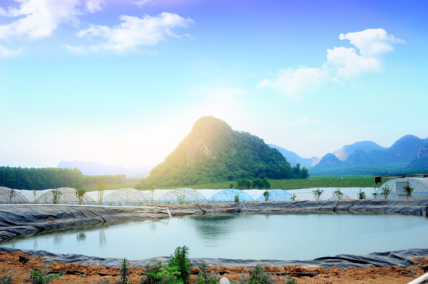 �읙�������a(ch��n)��(sh��)�(y��n)���؏ķN���N����Ʒ�|(zh��)ꖹ�õ���ϼ�����̳�