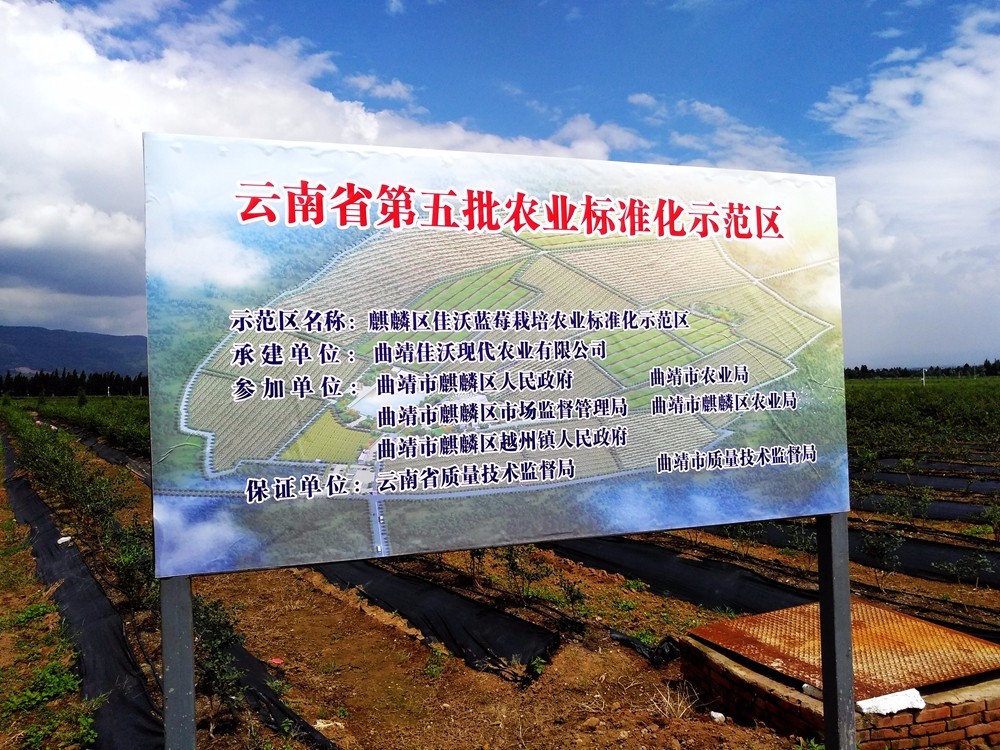 ������(chu��ng)���(xi��ng)Ŀ-Խ�ݻ���