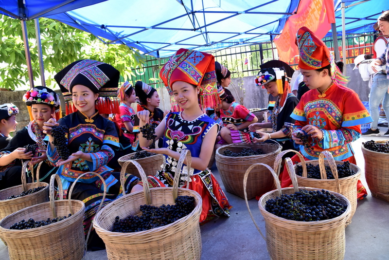 �V�����������r(n��ng)�a(ch��n)Ʒ��Դ���_�N��ͨ·��Ұ��ɽ�����߳���ɽ