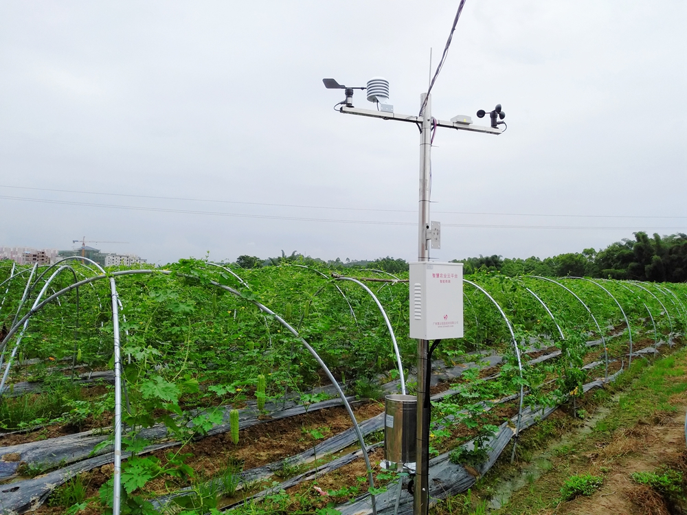 �R�����S�r(n��ng)�I(y��)