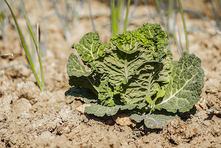 ������l(xi��ng)�R�݇�(y��n)�����a(ch��n)�������_չ��(bi��o)��(zh��n)���Nֲ