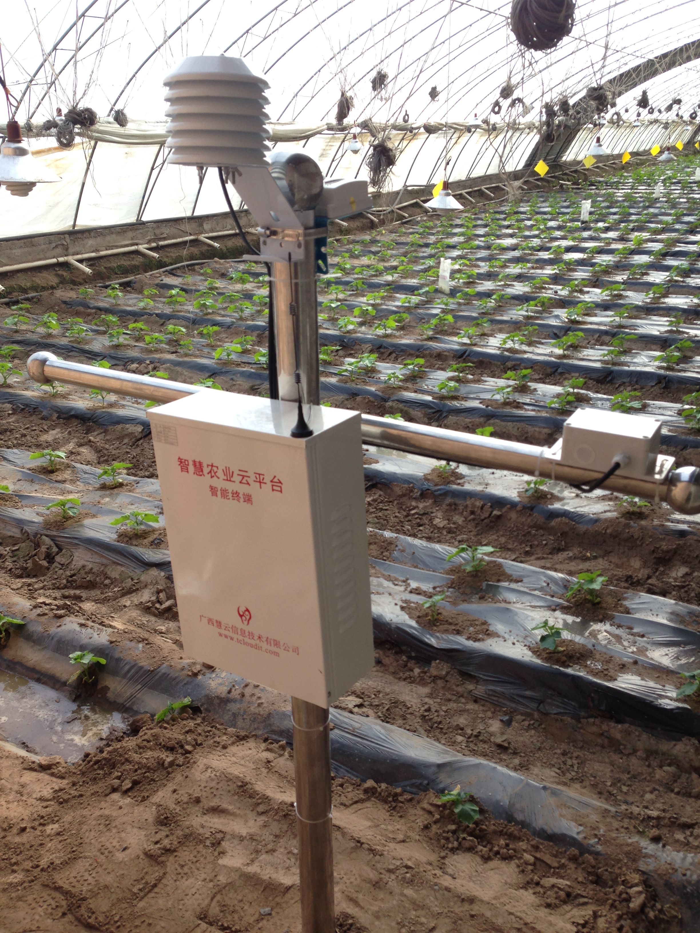 �ຣ��ͨ�h�ИI(y��)���F(xi��n)���r(n��ng)�I(y��)ʾ���@�������ǻ��r(n��ng)�I(y��)���F(xi��n)һ������