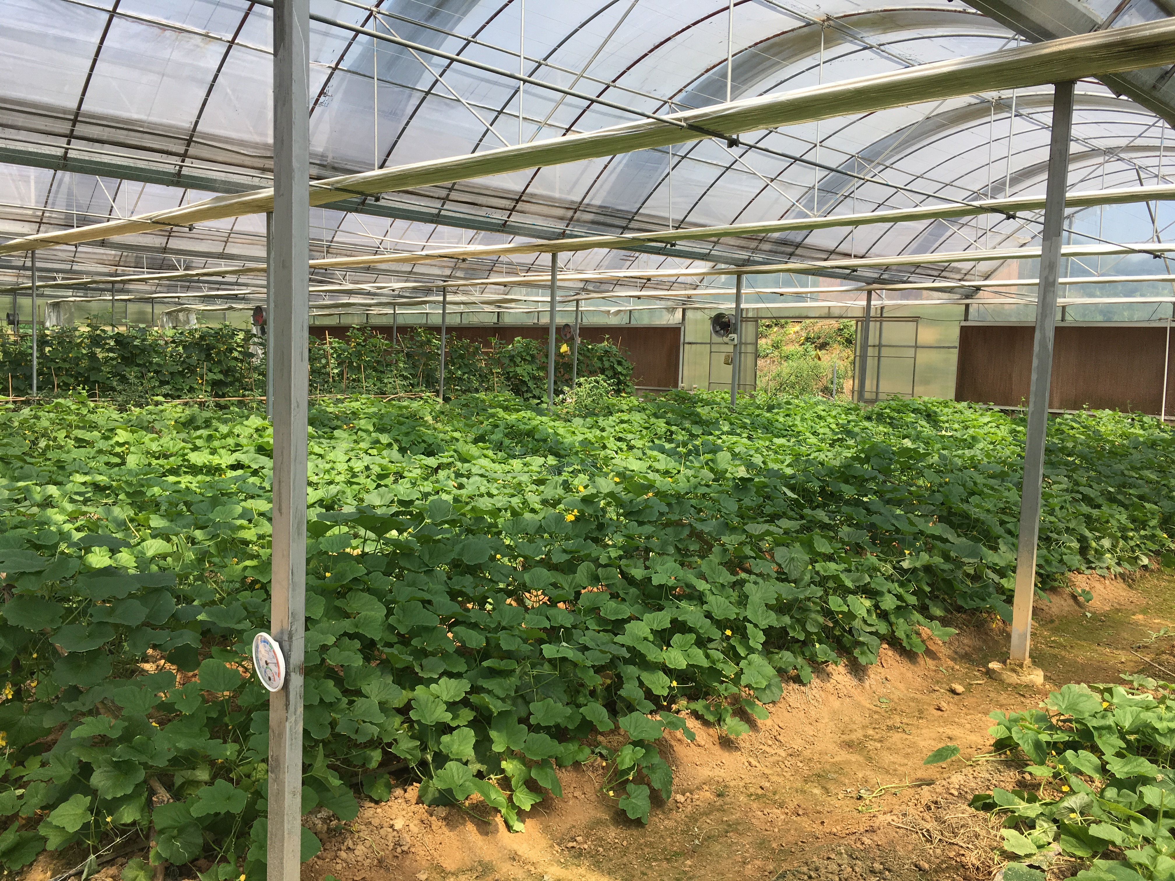 �𶼬F(xi��n)���r(n��ng)�I(y��)�ИI(y��)��(j��)�߲˘�(bi��o)��(zh��n)�@���ǻ��r(n��ng)�I(y��)ȫ�̰�ȫ��Դ