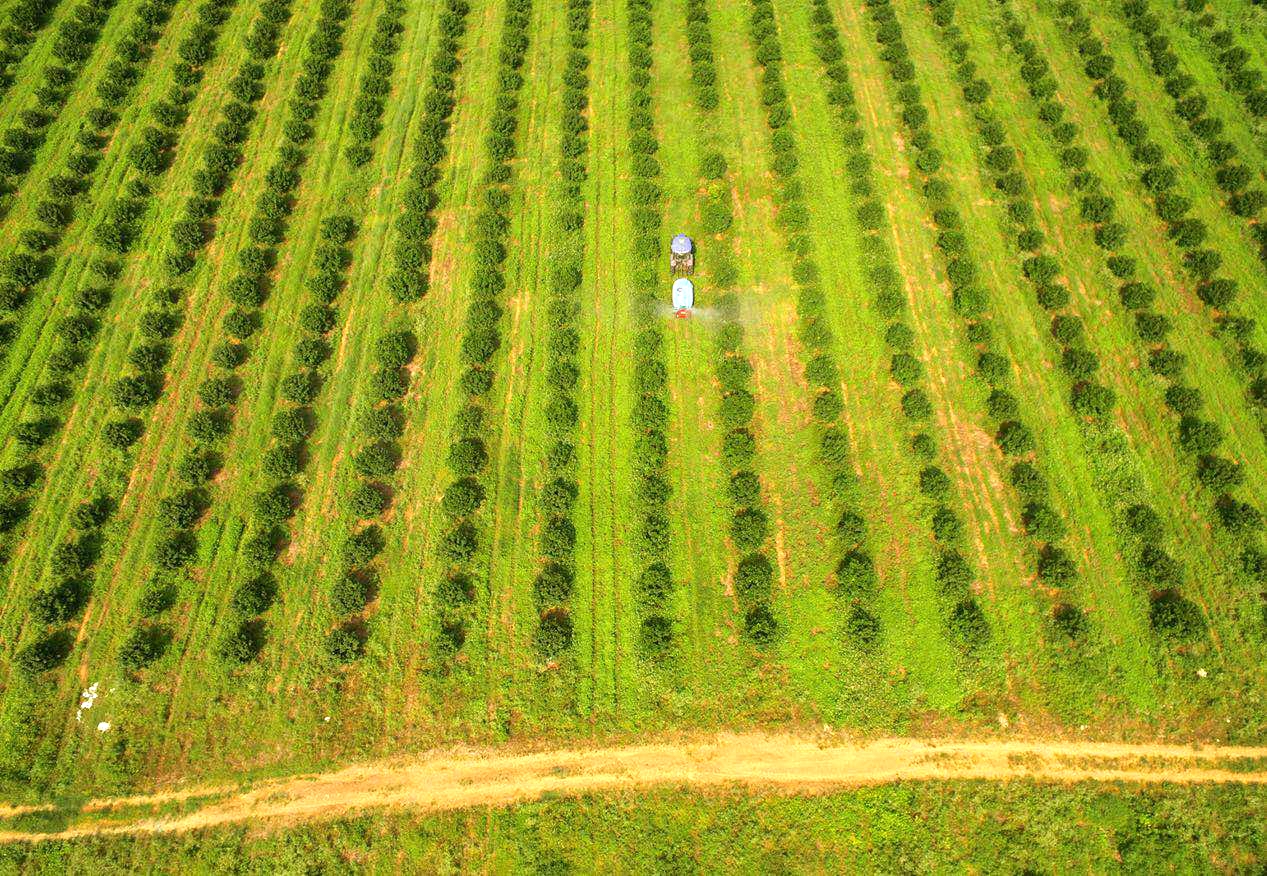 ʲô���ǻ��r(n��ng)�I(y��)��