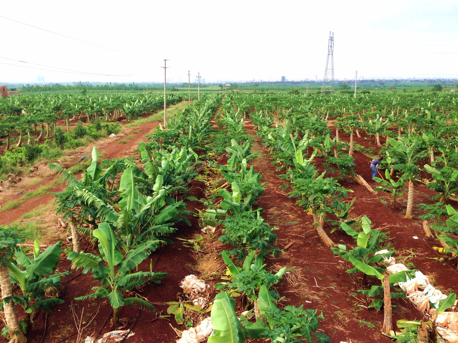 �GԴ�����r(n��ng)�I(y��)�l(f��)չ��˾