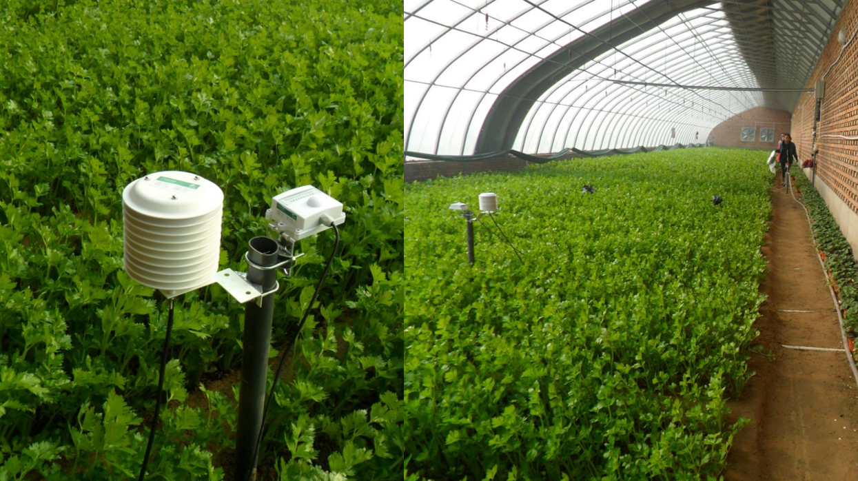 ʲô���ǻ��r(n��ng)�I(y��)�������읙(r��n)�����ķ���(w��)���سɹ�ʾ��