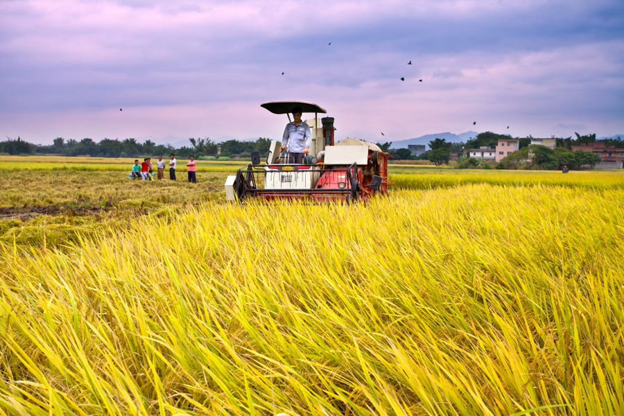 ʲô���ǻ��r(n��ng)�I(y��)�������읙(r��n)�����ķ���(w��)���سɹ�ʾ��