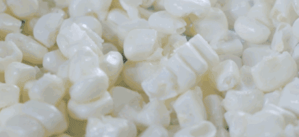 ��΢��ˮ�����ס����H��ζ�ٵĄ�(chu��ng)�������ǘ˜ʷNֲ����������