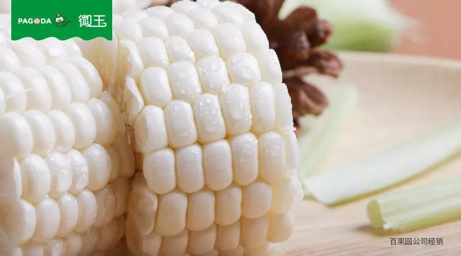 ��΢��ˮ�����ס����H��ζ�ٵĄ�(chu��ng)�������ǘ˜ʷNֲ����������