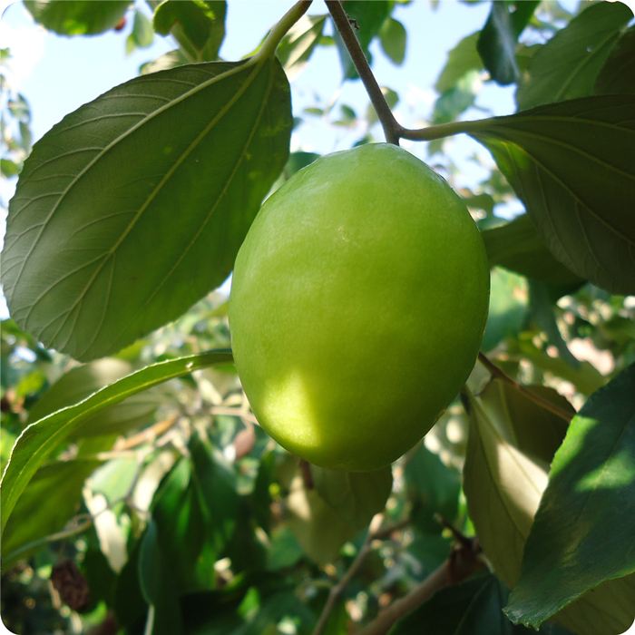 �@���B(y��ng)����ȫ�h����ġ�Ԫ�\���������������Ϙ˜ʻ��D(zhu��n)���¸�֮·