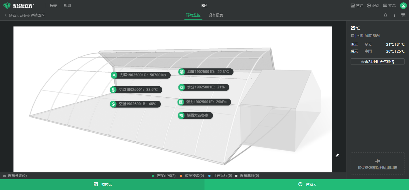 大荔冬棗 大荔冬棗