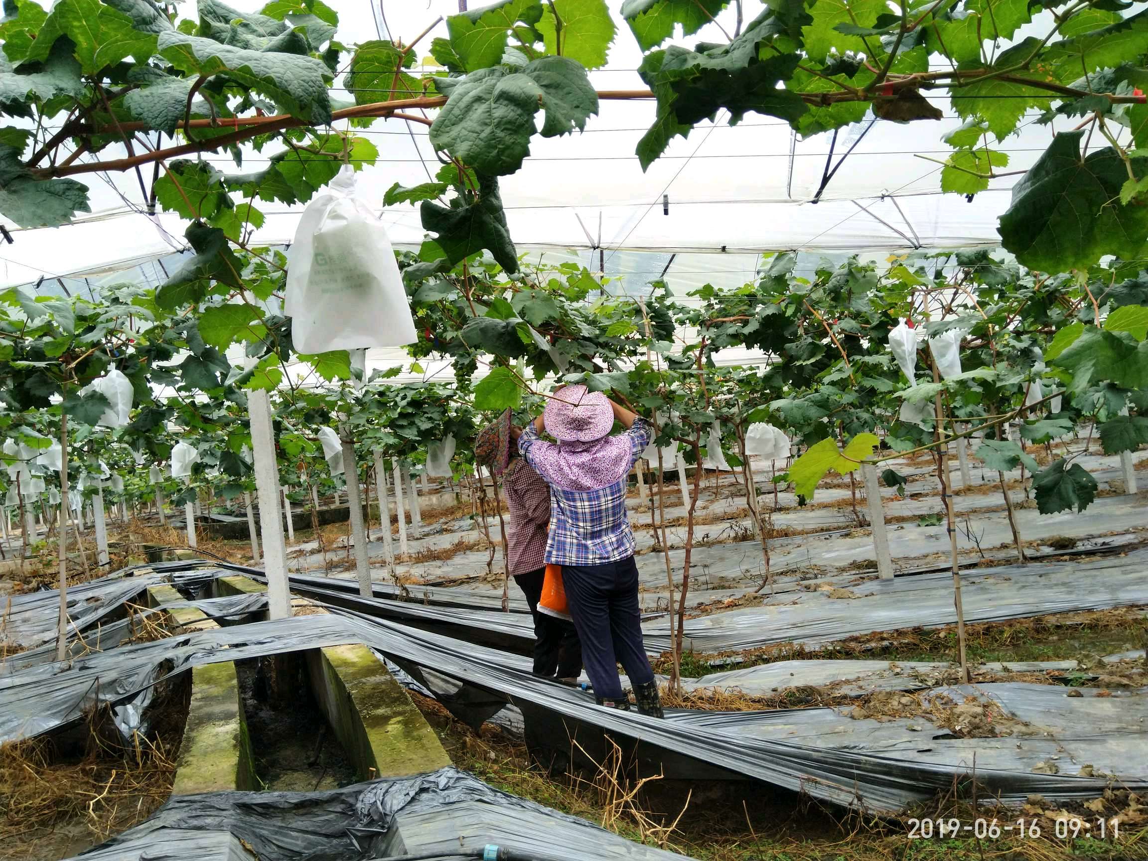 ���ݰ����(zh��n)���ш@�Ķ�λѲ�@���r(n��ng)��ӛ�