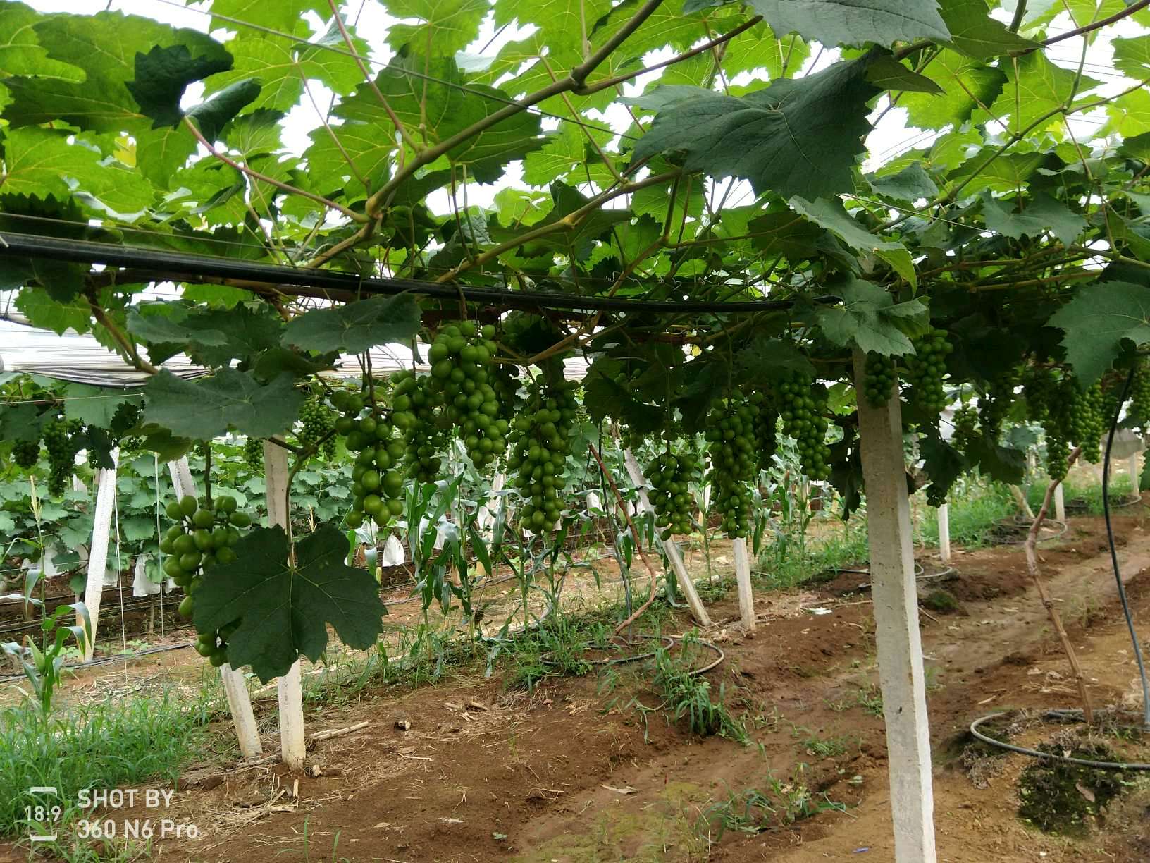 ���ݰ����(zh��n)���ш@�Ķ�λѲ�@���r(n��ng)��ӛ�