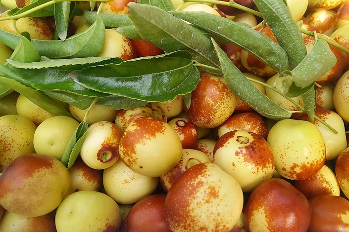 �읙(r��n)�������ܱO(ji��n)�؃x����С������(w��)��(y��u)��(li��n)�������������������ԃr(ji��)�ȳ��ߣ��r(n��ng)��ֵ�Ó���