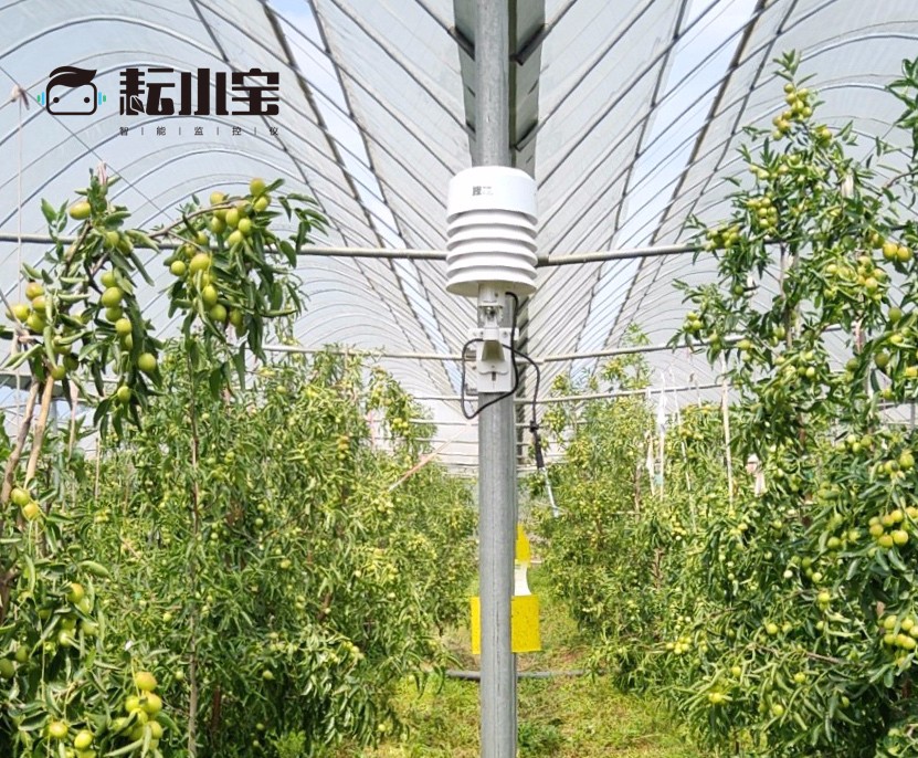 �읙(r��n)�������ܱO(ji��n)�؃x����С������(w��)��(y��u)��(li��n)�������������������ԃr(ji��)�ȳ������r(n��ng)��ֵ�Ó���