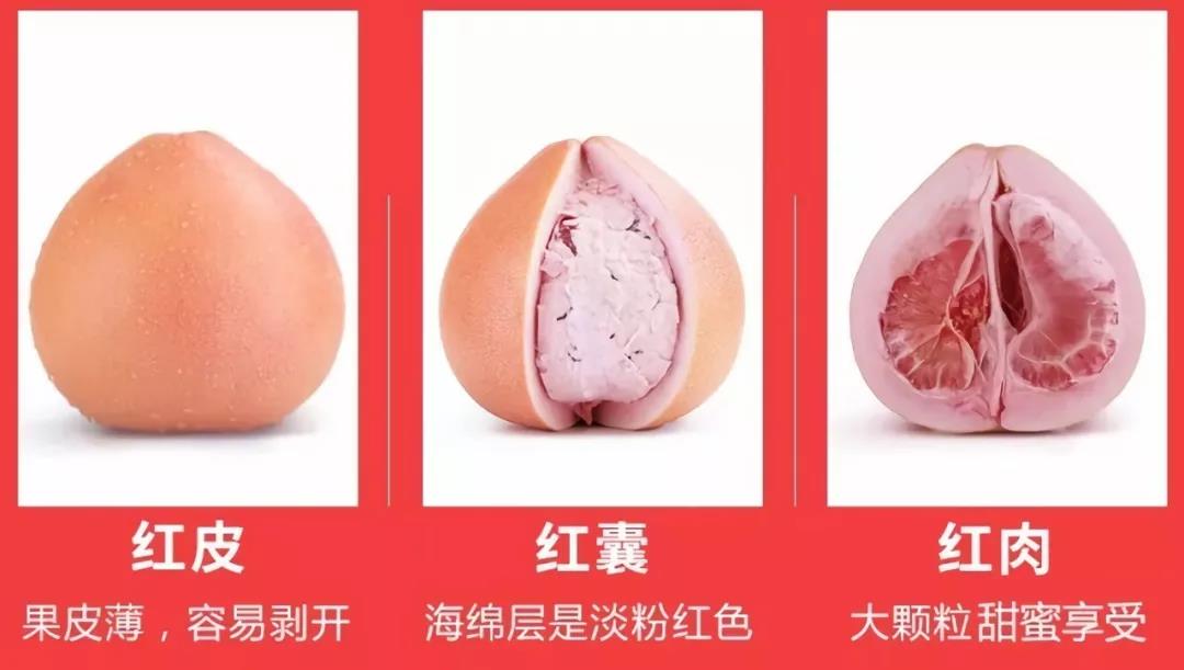 ��С������(w��)�ǻ۹��I(y��)���a(ch��n)���ƹ����ء����������t����������������ǰ�A(y��)��