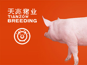 天兆豬業(yè)網(wǎng)站建設(shè) 天兆豬業(yè)網(wǎng)站建設(shè)