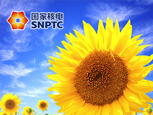 國(guó)家核電網(wǎng)站建設(shè) 國(guó)家核電網(wǎng)站建設(shè)