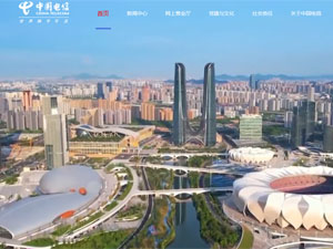 中國(guó)電信集團(tuán)有限公司 中國(guó)電信集團(tuán)有限公司