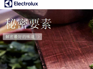 伊萊克斯網(wǎng)站建設(shè) 伊萊克斯網(wǎng)站建設(shè)