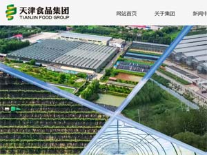 天津食品集團(tuán)網(wǎng)站建設(shè) 天津食品集團(tuán)網(wǎng)站建設(shè)