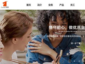 賓西食品集團(tuán)網(wǎng)站建設(shè) 賓西食品集團(tuán)網(wǎng)站建設(shè)