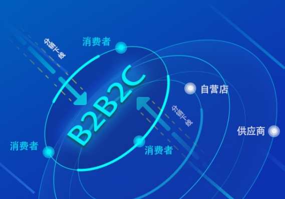 ���̼����v B2B2C