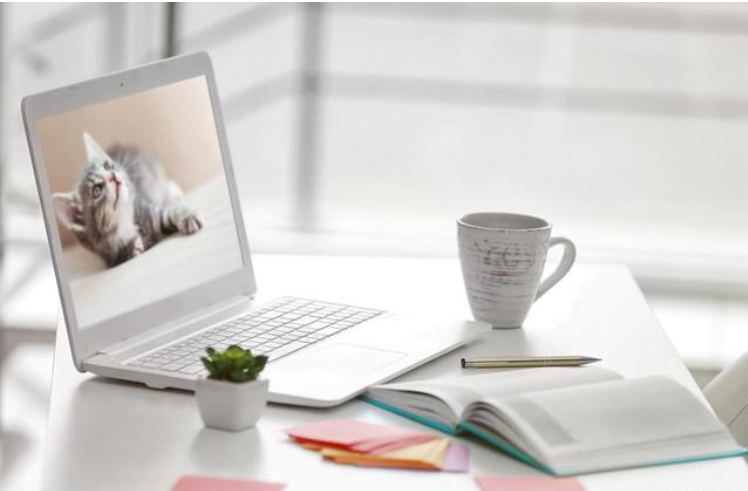 ����������I�N����(li��n)�W(w��ng)���ϠI�N�ƏV